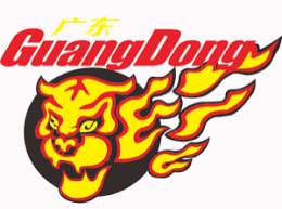 Guangdong Southern Tigers Basketbal