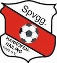 SpVgg Hankofen-Hailing Voetbal